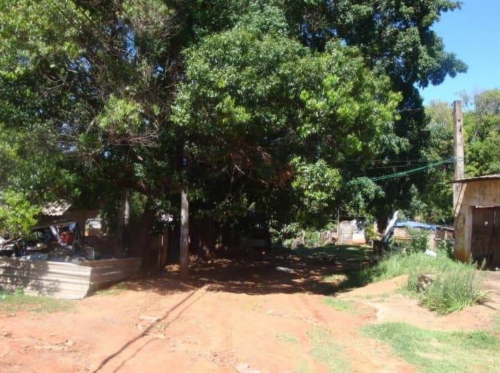 Foto 2 de 3: Terreno em leilão em Bauru - SP, bairro Vila Zillo — Lote de Terreno, 242,00m², Vila Zillo, Bauru/SP