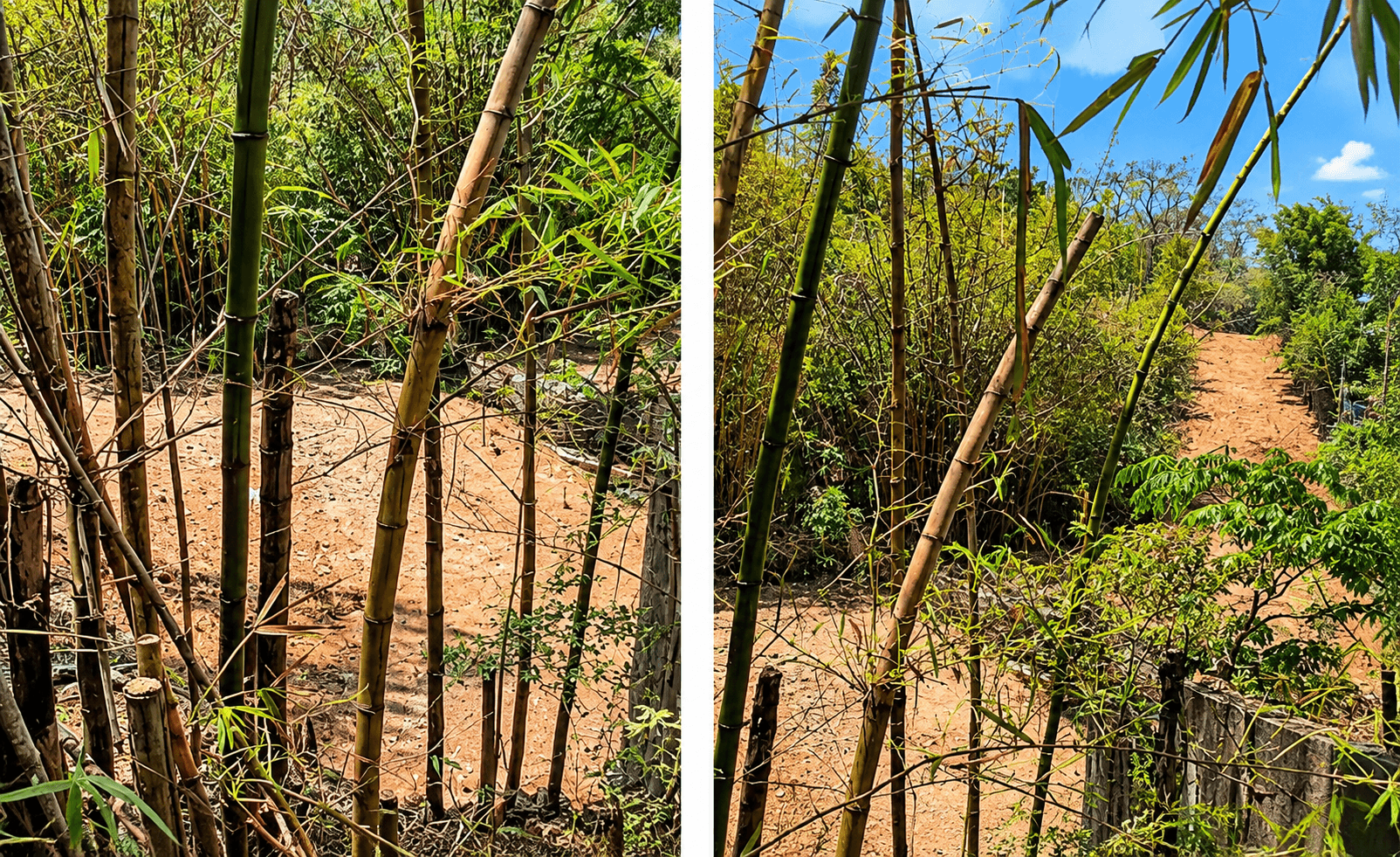 Foto 3 de 3: Terreno em leilão em Santana De Parnaíba - SP, bairro Quintas do Ingaí — Terreno Urbano, 49.945,76m², Sítio Boa Vista, Santana de Parnaíba/SP