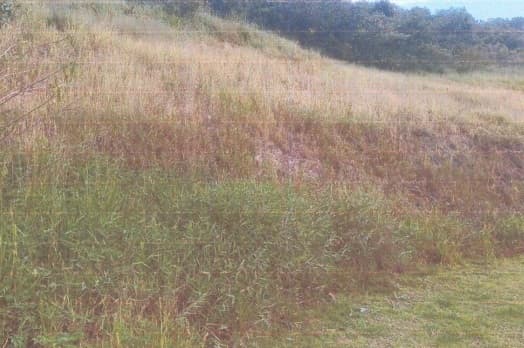 Foto 8 de 9: Terreno em leilão em Santana De Parnaíba - SP, bairro Sítio do Morro — Lote de Terreno, 682m², Condomínio Altavis da Serra, Santana de Parnaíba/SP
