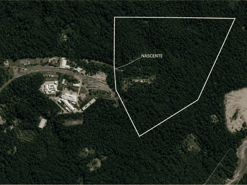 Terreno em leilão em Mogi Das Cruzes - SP, bairro Caputera — Terreno, a.t 135.272m², Bairro Caputera, Mogi das Cruzes/SP