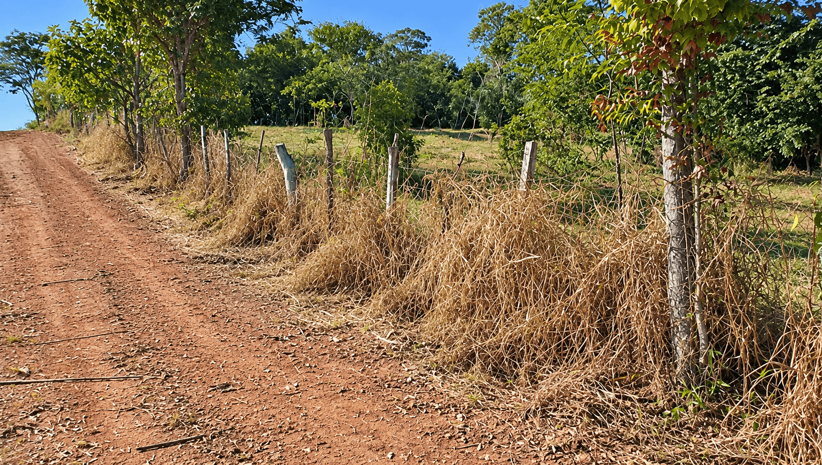 Foto 2 de 4: Area Rural em leilão em Laranjal Paulista - SP, bairro Serinha — Imóvel Rural, 3,4989ha, Laranjal Paulista/SP
