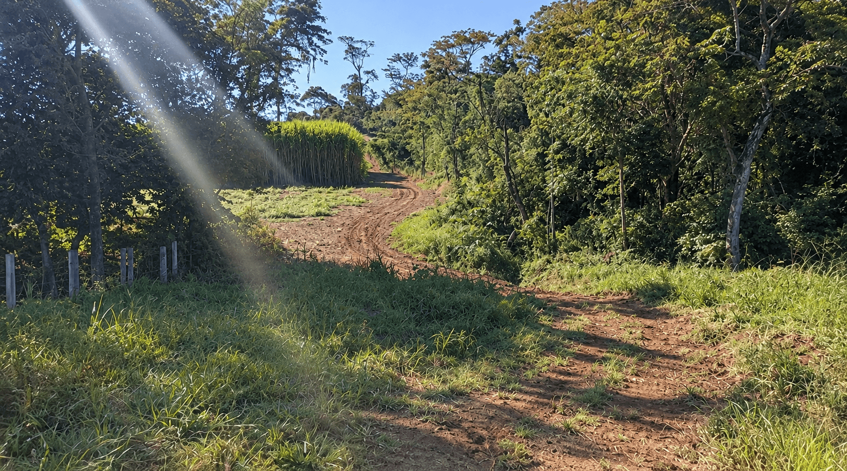 Foto 1 de 4: Area Rural em leilão em Laranjal Paulista - SP, bairro Serinha — Imóvel Rural, 3,4989ha, Laranjal Paulista/SP