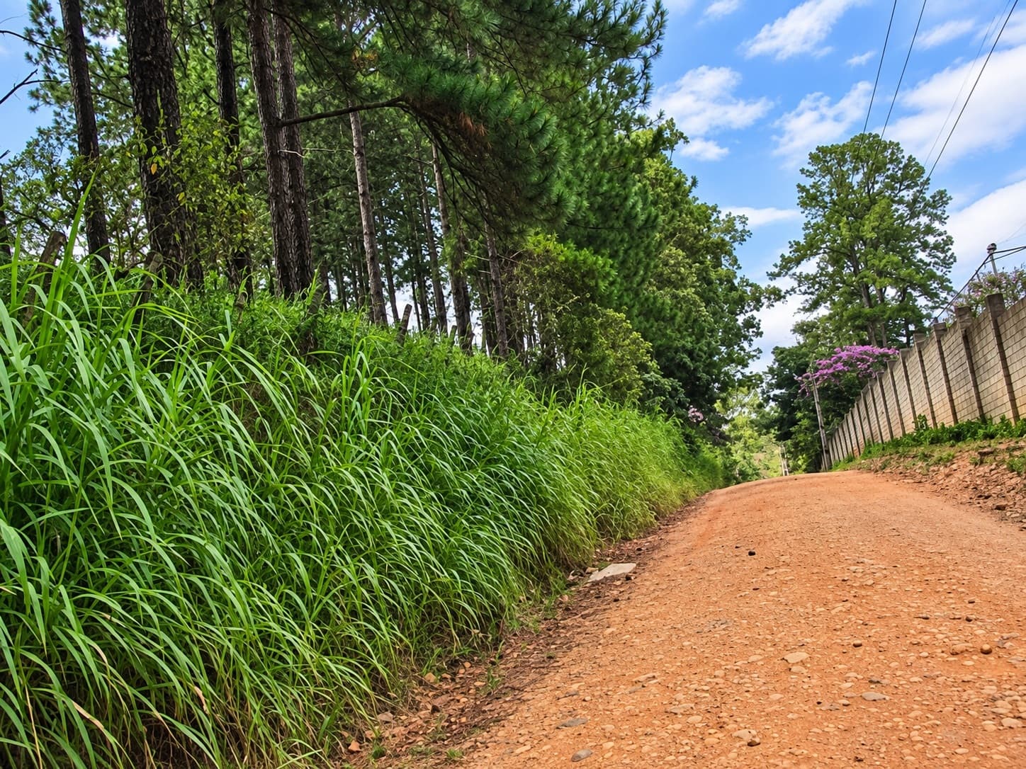 Foto 3 de 3: Terreno em leilão em Cabreúva - SP, bairro Pinhal Rua — Terreno, 37.172,00m², Jd. Portal da Colina, Cabreúva/SP