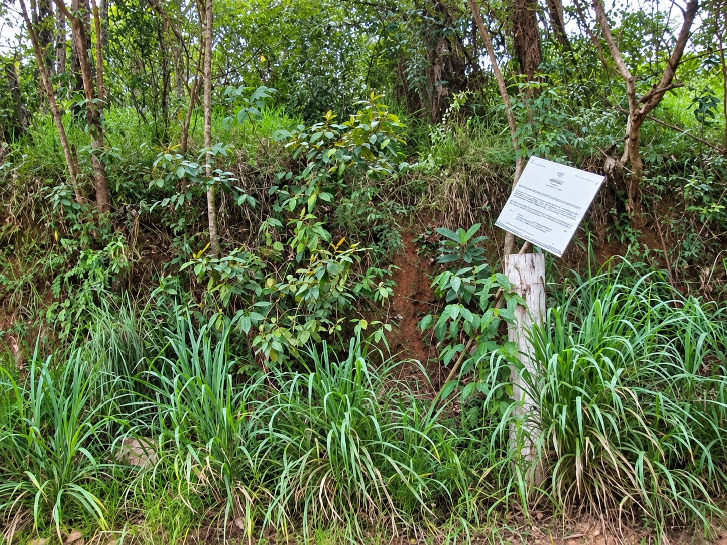 Foto 2 de 3: Terreno em leilão em Cabreúva - SP, bairro Pinhal Rua — Terreno, 37.172,00m², Jd. Portal da Colina, Cabreúva/SP