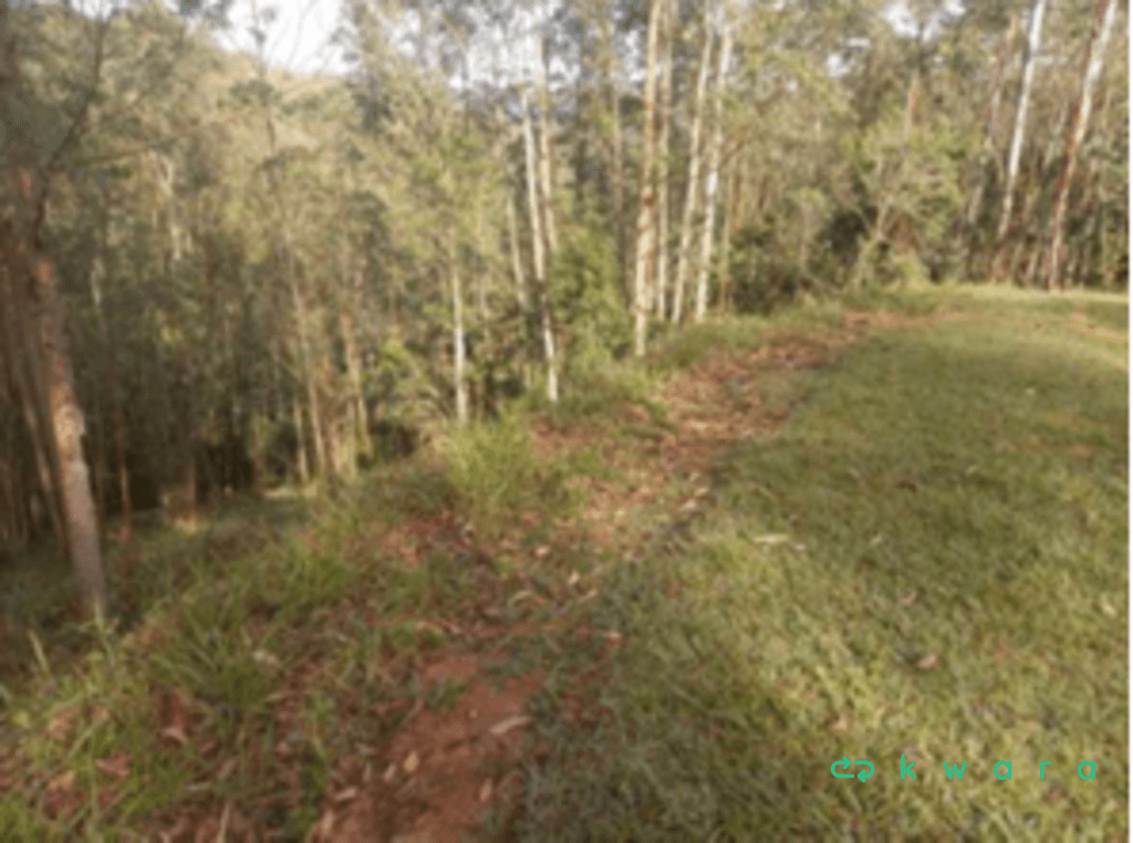 Foto 2 de 16: Terreno em leilão em Cajamar - SP, bairro Serra dos Lagos — Terreno com 918m² em Cajamar/SP