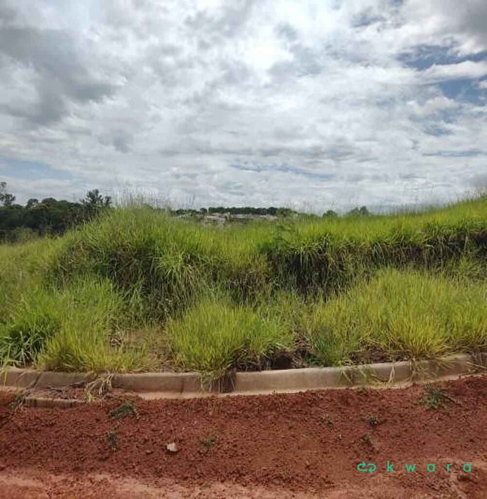 Foto 6 de 13: Terreno em leilão em Dracena - SP — Terreno de 239,75 m² no Royal Residence, Dracena / SP