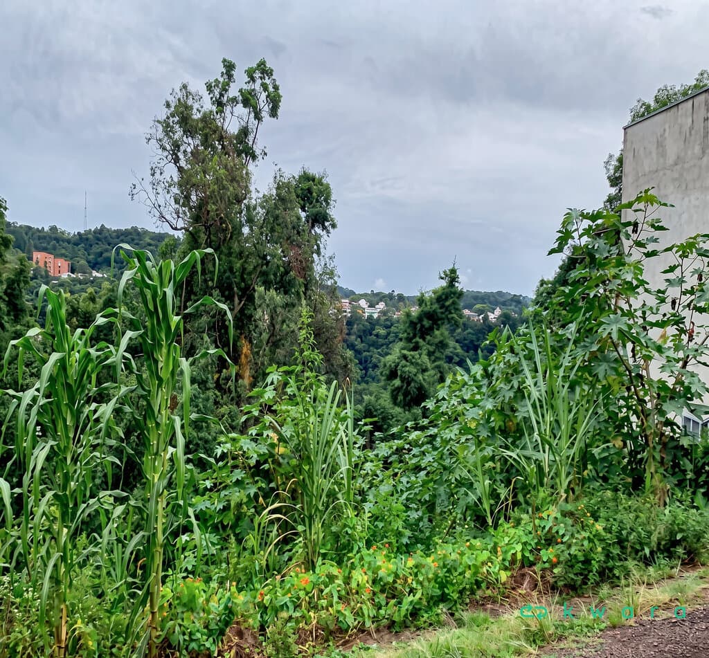 Foto 2 de 10: Terreno em leilão em Itapetininga - SP, bairro Jardim Fogaça — Terreno de 270,00 m² no Jardim Fogaça, Itapetininga / SP