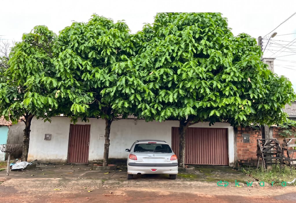 Foto 1 de 5: Casa em leilão em Barrolândia - TO, bairro Centro — Casa de 162,46 m² no Centro, Barrolândia / TO