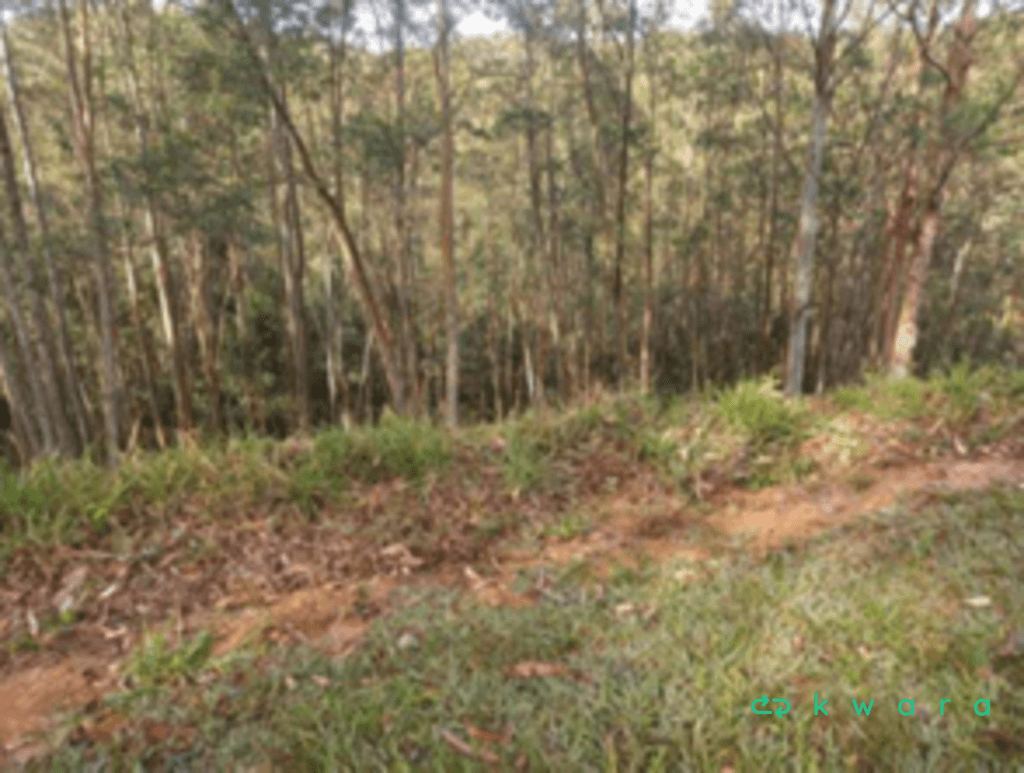 Foto 3 de 16: Terreno em leilão em Cajamar - SP, bairro Serra dos Lagos — Terreno com 918m² em Cajamar/SP