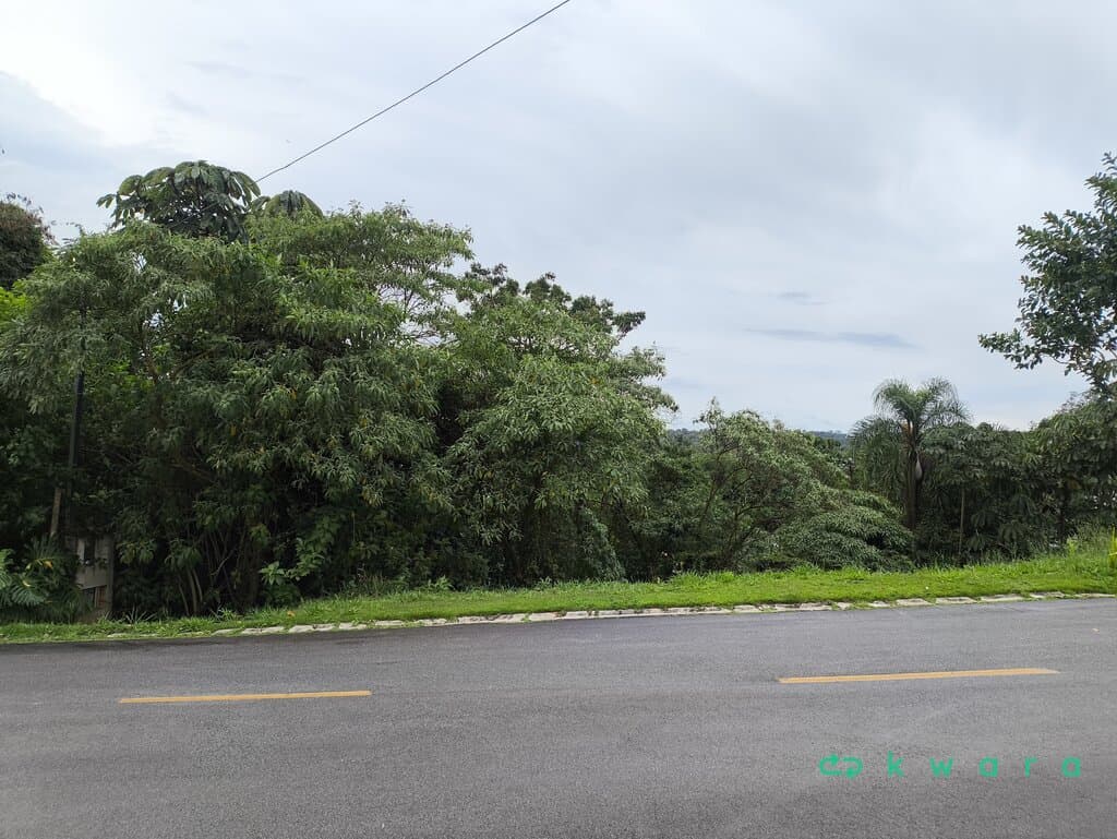 Foto 5 de 20: Terreno em leilão em Cotia - SP, bairro Granja Vianna — Leilão de terreno com 625m² de área total em Cotia/SP