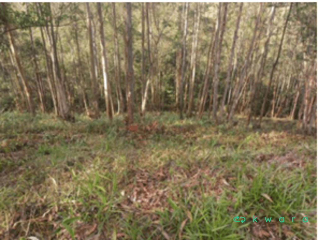 Foto 4 de 16: Terreno em leilão em Cajamar - SP, bairro Serra dos Lagos — Terreno com 918m² em Cajamar/SP