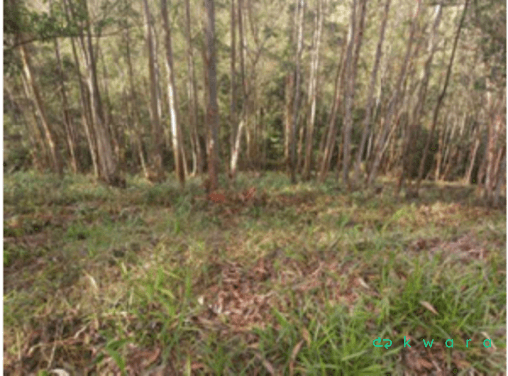 Foto 3 de 16: Terreno em leilão em Cajamar - SP, bairro Serra dos Lagos — Terreno com 777m² em Cajamar/SP