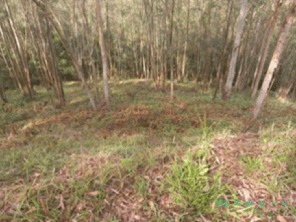 Foto 5 de 16: Terreno em leilão em Cajamar - SP, bairro Serra dos Lagos — Terreno com 918m² em Cajamar/SP