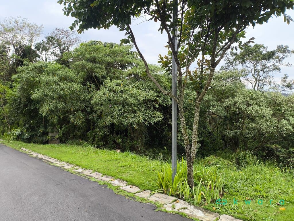 Foto 6 de 20: Terreno em leilão em Cotia - SP, bairro Granja Vianna — Leilão de terreno com 625m² de área total em Cotia/SP