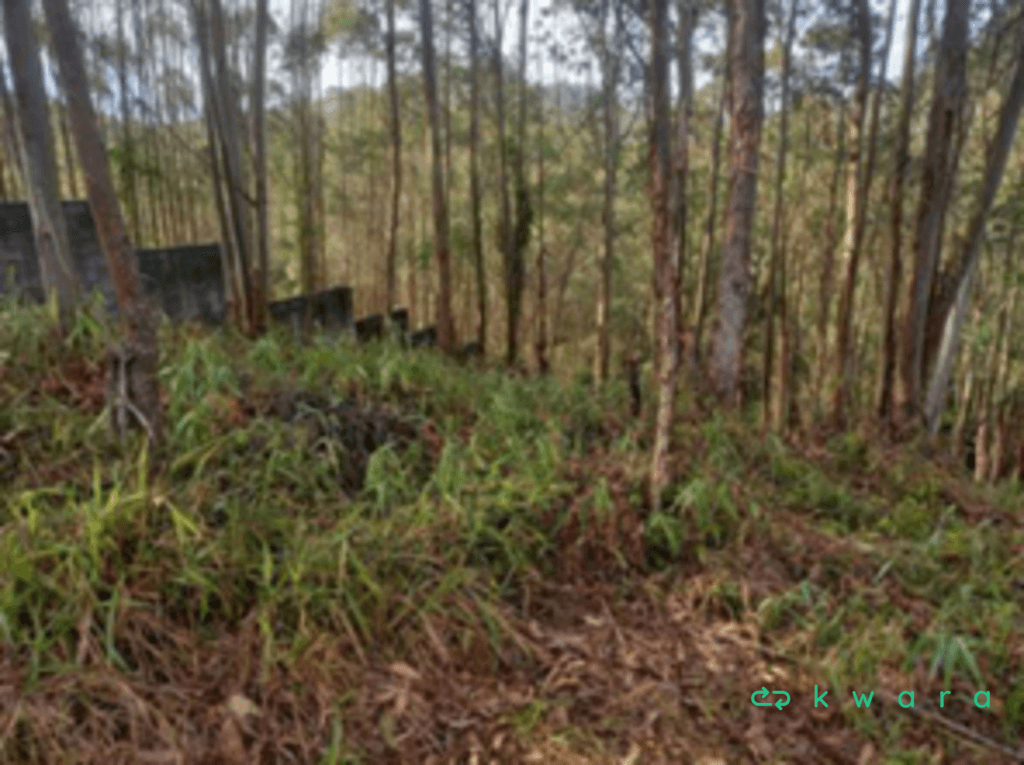 Foto 2 de 16: Terreno em leilão em Cajamar - SP, bairro Serra dos Lagos — Terreno com 777m² em Cajamar/SP