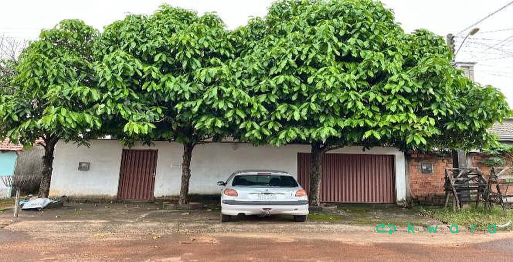 Foto 2 de 5: Casa em leilão em Barrolândia - TO, bairro Centro — Casa de 162,46 m² no Centro, Barrolândia / TO