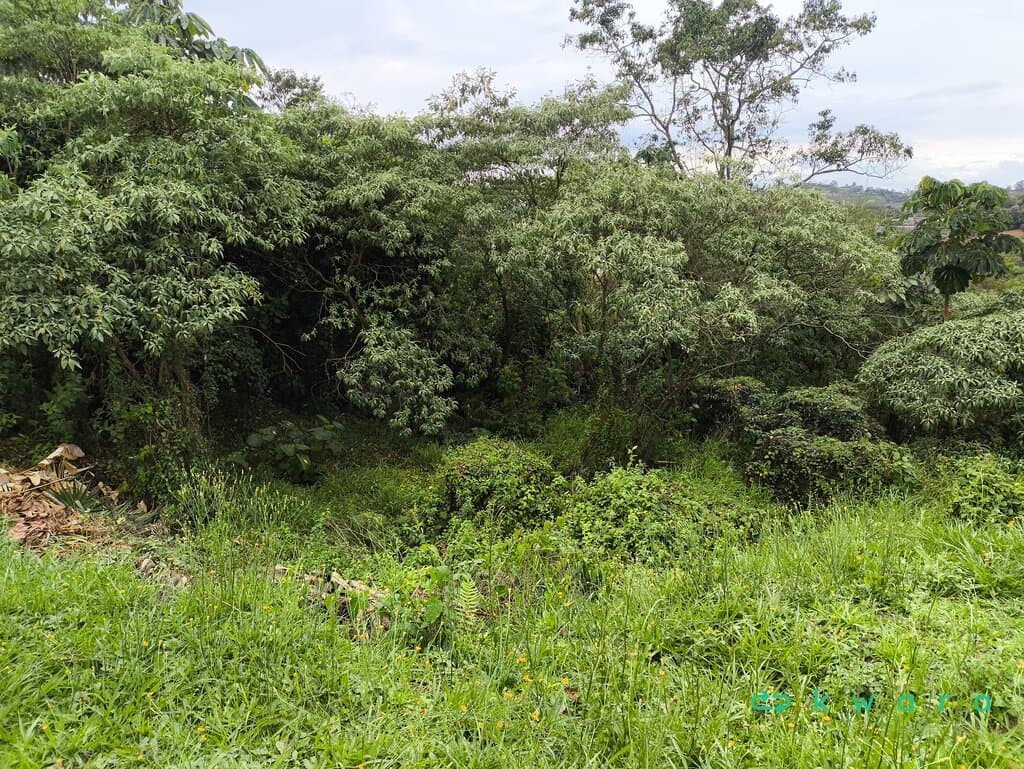 Foto 9 de 20: Terreno em leilão em Cotia - SP, bairro Granja Vianna — Leilão de terreno com 625m² de área total em Cotia/SP