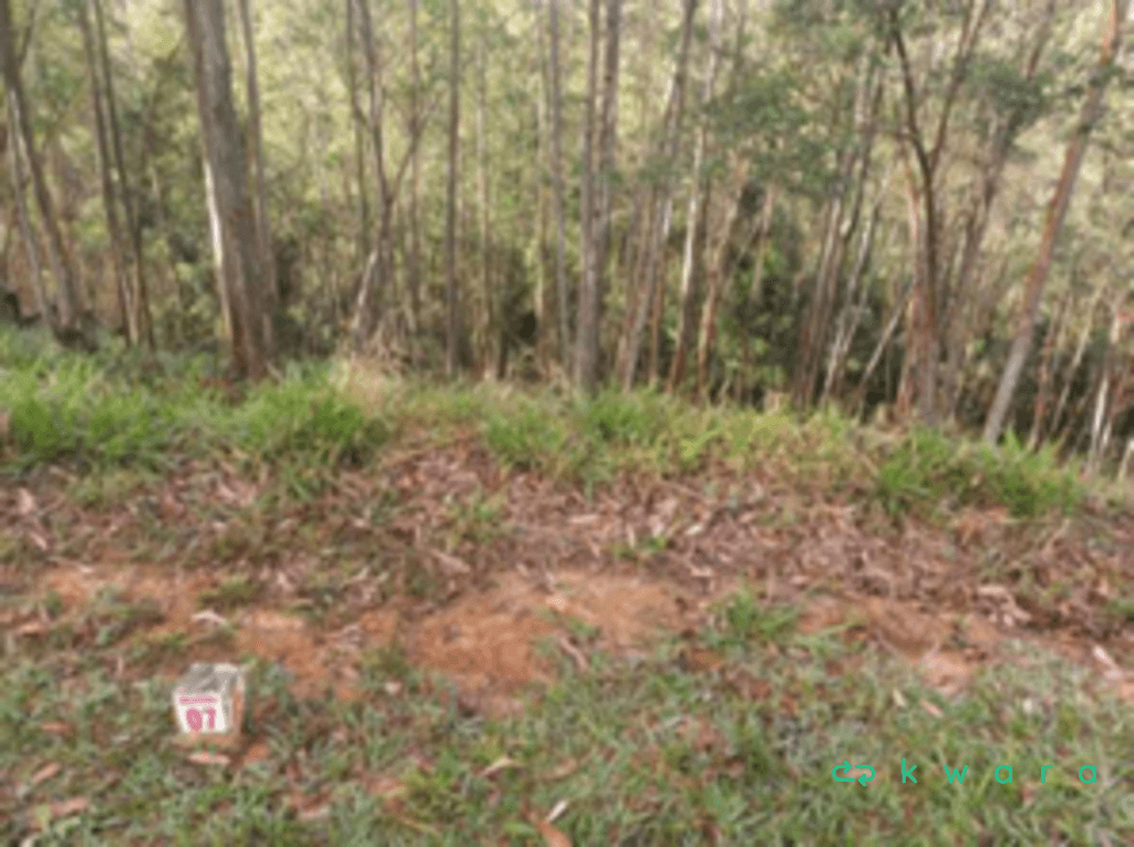 Foto 6 de 16: Terreno em leilão em Cajamar - SP, bairro Serra dos Lagos — Terreno com 918m² em Cajamar/SP