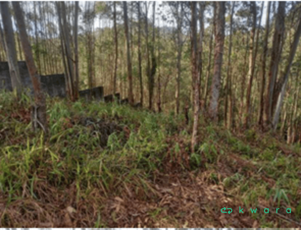 Foto 4 de 16: Terreno em leilão em Cajamar - SP, bairro Serra dos Lagos — Terreno com 773m² em Cajamar/SP
