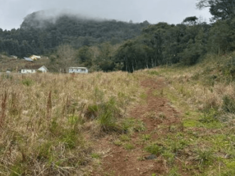 Foto 11 de 12: Terreno em leilão em Gramado - RS — Lote, Misto, Várzea Grande