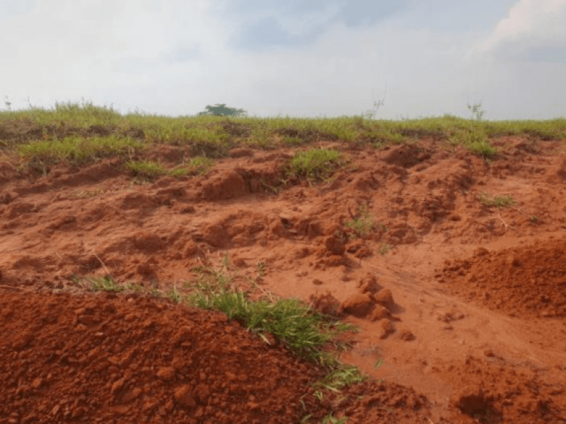 Foto 2 de 6: Terreno em leilão em Marília - SP, bairro Jardim Botânico I — Lote, Residencial, Jardim Botânico I