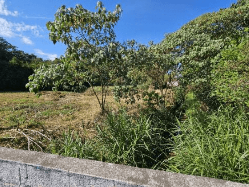 Foto 2 de 4: Terreno em leilão em Lavras - MG, bairro Alvorada — Lote, Residencial, Alvorada