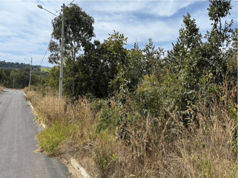 Foto 1 de 2: Terreno em leilão em Caldas Novas - GO — Lote, Residencial, Loteamento Lagoa Quente De Caldas Novas