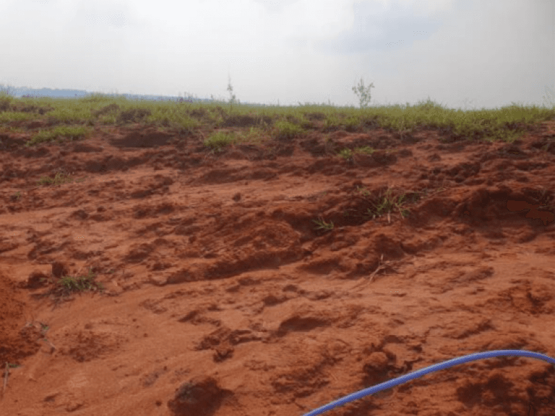 Foto 3 de 6: Terreno em leilão em Marília - SP, bairro Jardim Botânico I — Lote, Residencial, Jardim Botânico I