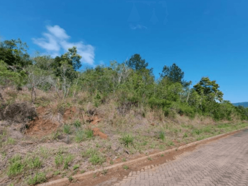 Foto 2 de 5: Terreno em leilão em Três Coroas - RS — Lote, Rural, Interior
