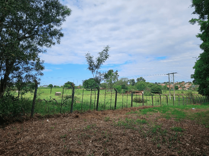 Foto 6 de 9: Area Rural em leilão em Guaraçaí - SP — Chácara/sítio, Rural, Conjunto Habitacional Doutor José Olavo Diniz