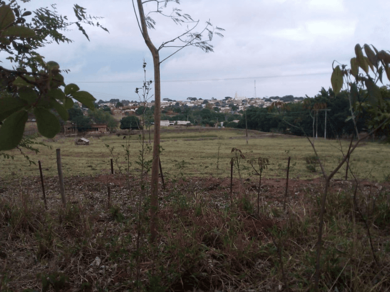 Foto 7 de 9: Area Rural em leilão em Guaraçaí - SP — Chácara/sítio, Rural, Conjunto Habitacional Doutor José Olavo Diniz