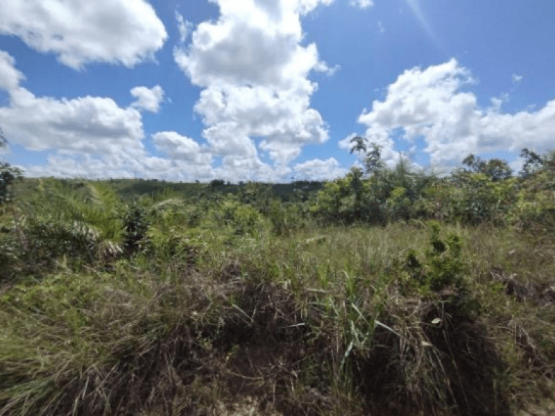 Foto 3 de 5: Terreno em leilão em Itaporanga D'ajuda - SE, bairro Povoado Duro — Lote, Misto, Povoado Duro