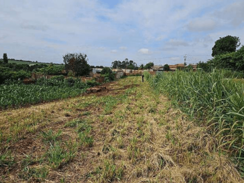 Foto 3 de 9: Terreno em leilão em Morro Agudo - SP, bairro Centro — Lote, Residencial, Centro