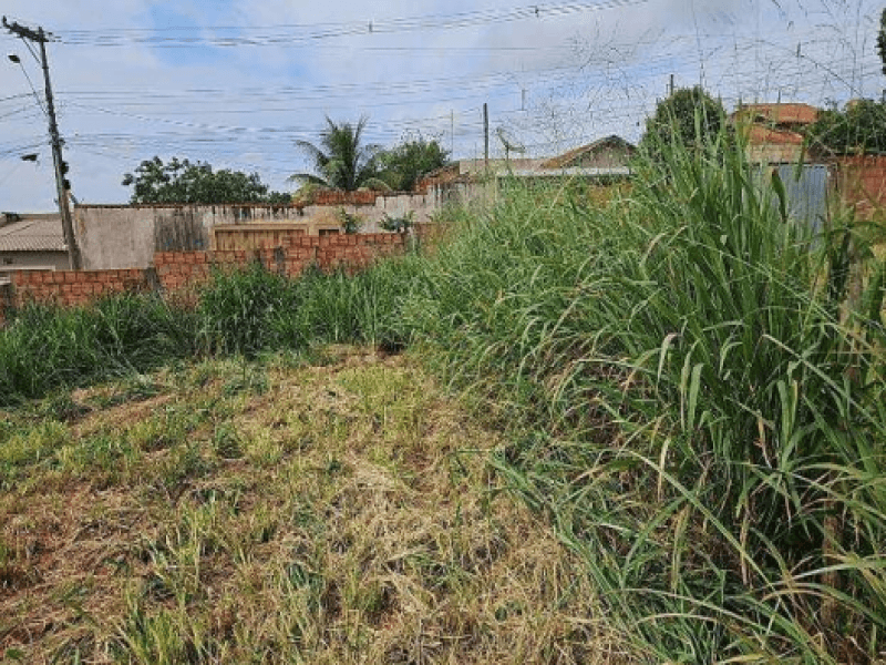 Foto 8 de 9: Terreno em leilão em Morro Agudo - SP, bairro Centro — Lote, Residencial, Centro