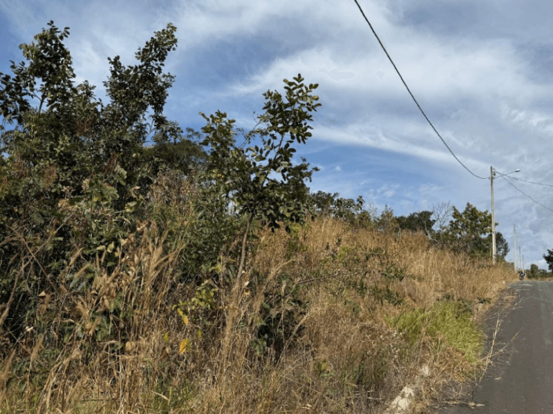 Foto 2 de 4: Terreno em leilão em Caldas Novas - GO — Lote, Residencial, Loteamento Lagoa Quente