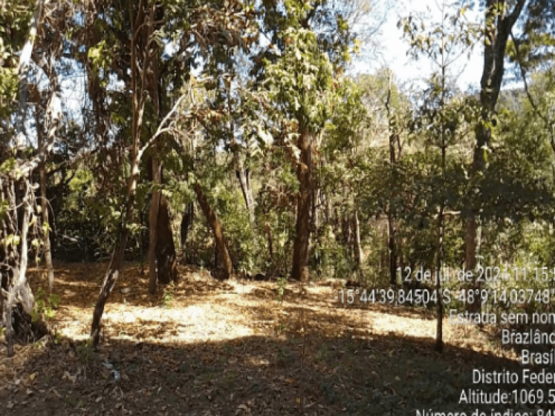 Foto 5 de 33: Area Rural em leilão em Brasília - DF — Área, Rural, Brazlândia