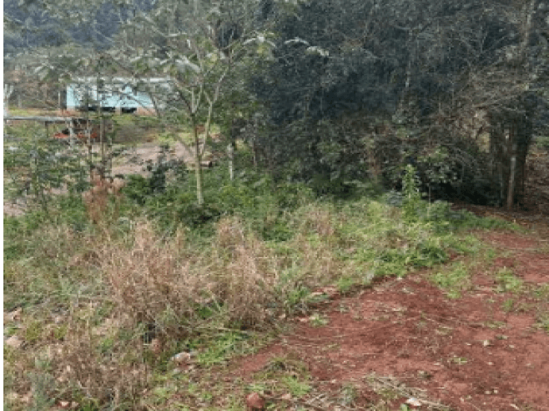 Foto 8 de 12: Terreno em leilão em Gramado - RS — Lote, Misto, Várzea Grande