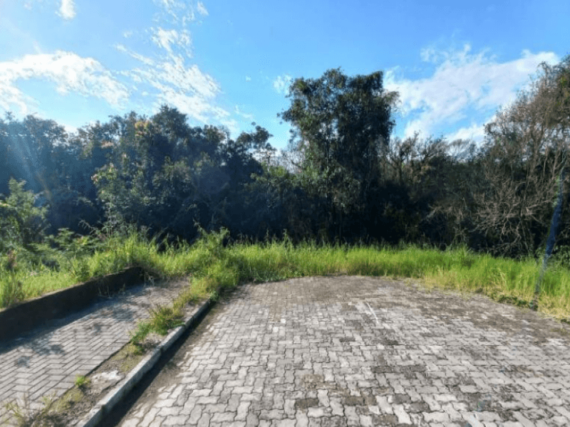 Foto 3 de 4: Terreno em leilão em Sapiranga - RS, bairro Centenário — Lote, Residencial, Centenário