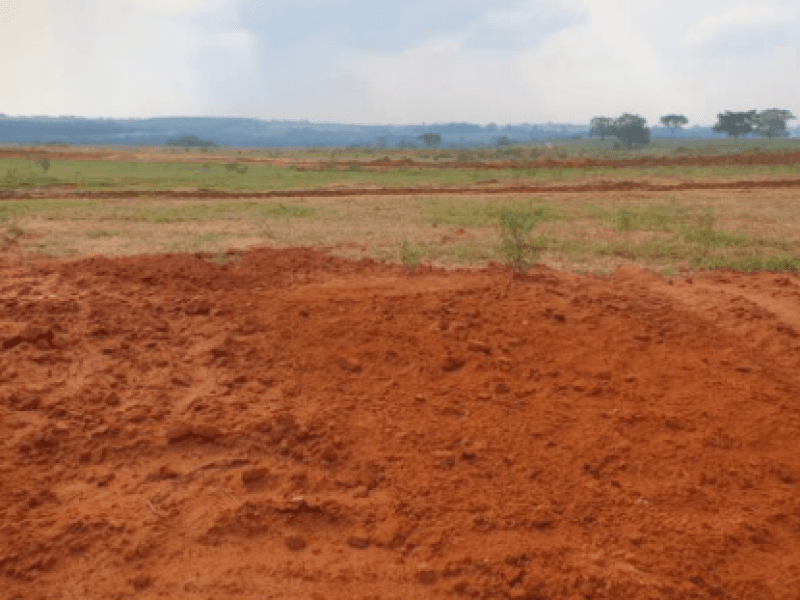 Foto 3 de 3: Terreno em leilão em Marília - SP, bairro Jardim Botânico I — Lote, Residencial, Jardim Botânico I