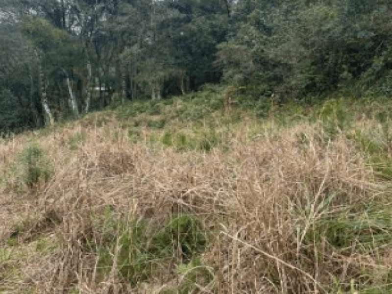 Foto 5 de 12: Terreno em leilão em Gramado - RS — Lote, Misto, Várzea Grande