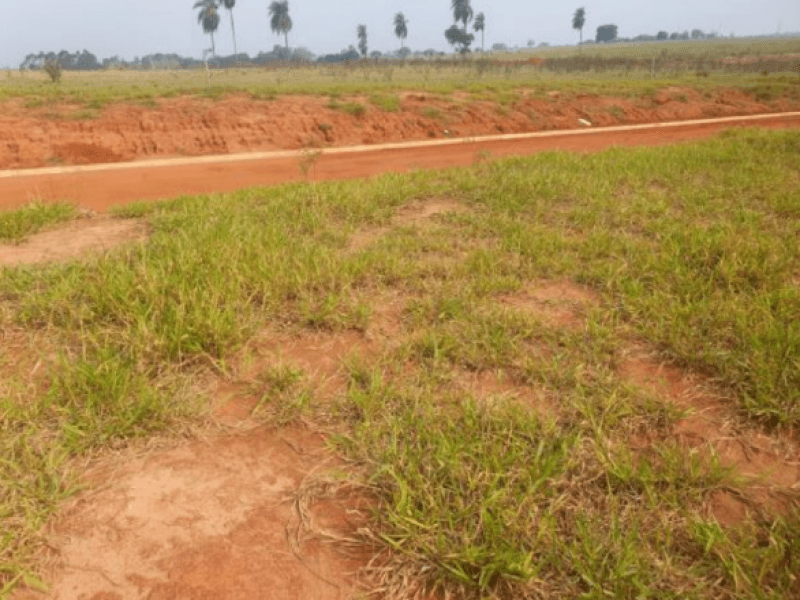 Foto 5 de 6: Terreno em leilão em Marília - SP, bairro Jardim Botânico I — Lote, Residencial, Jardim Botânico I