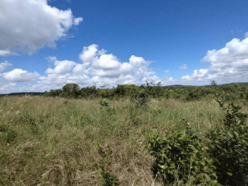 Foto 5 de 5: Terreno em leilão em Itaporanga D'ajuda - SE, bairro Povoado Duro — Lote, Misto, Povoado Duro