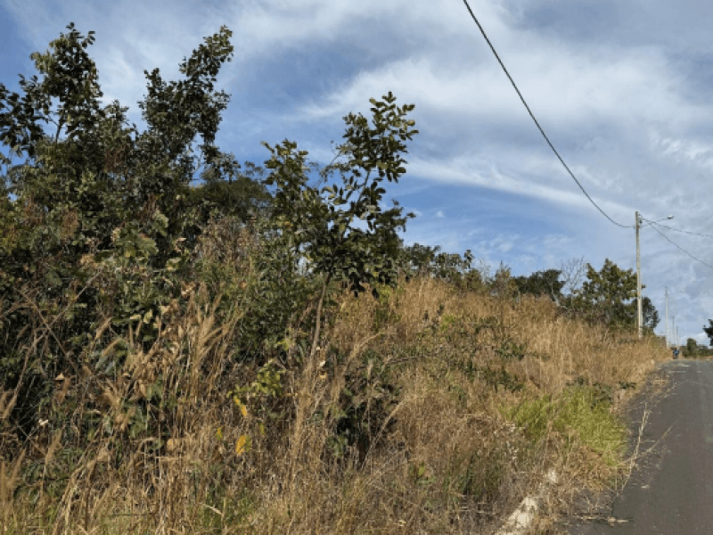 Foto 2 de 4: Terreno em leilão em Caldas Novas - GO — Lote, Residencial, Loteamento Lagoa Quente De Caldas Novas