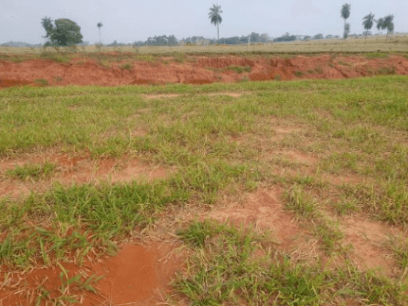 Foto 3 de 3: Terreno em leilão em Marília - SP, bairro Jardim Botânico I — Lote, Residencial, Jardim Botânico I