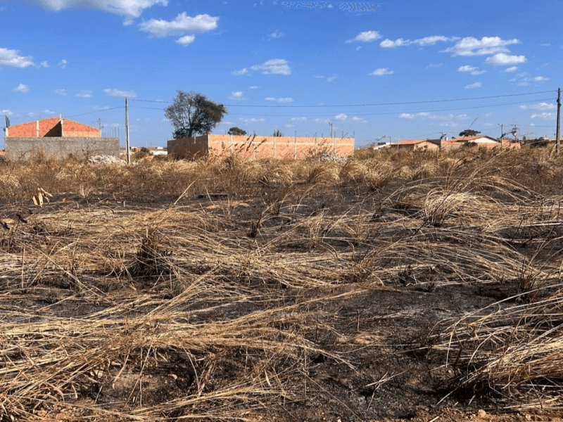 Foto 5 de 6: Terreno em leilão em Grajaú - MA — Lote, Residencial, Extrema