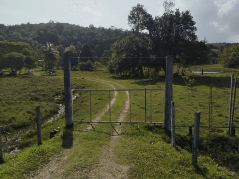 Foto 2 de 7: Area Rural em leilão em Jaguaripe - BA — Lote, Rural, Zona Rural/urbana Do Município De Jaguaripe