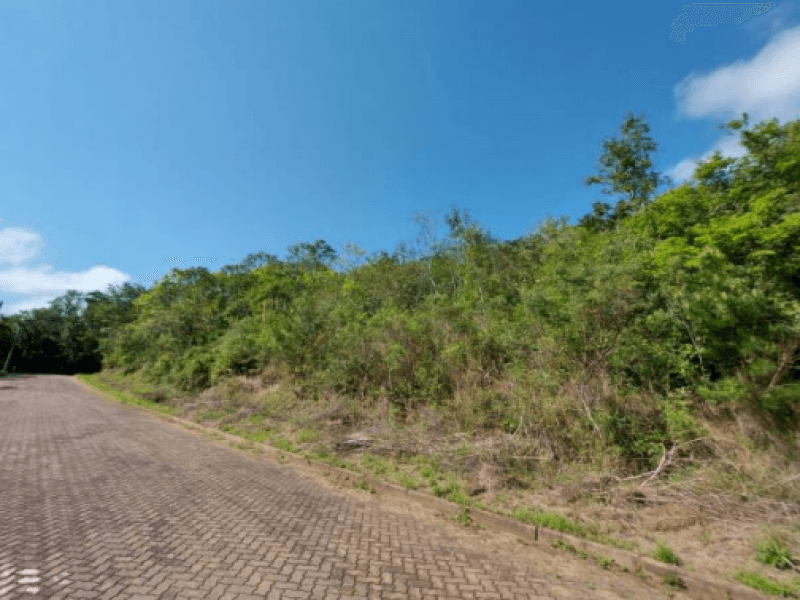 Foto 5 de 5: Terreno em leilão em Três Coroas - RS — Lote, Rural, Interior