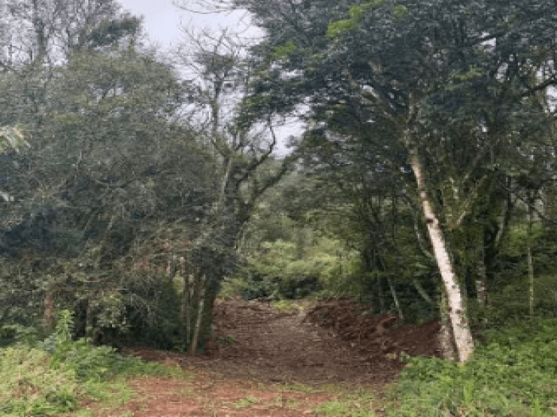 Foto 7 de 12: Terreno em leilão em Gramado - RS — Lote, Misto, Várzea Grande
