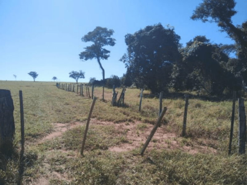 Foto 1 de 6: Area Rural em leilão em Ribeirão Bonito - SP — Chácara/sítio, Rural, Sítio Recanto Tropical