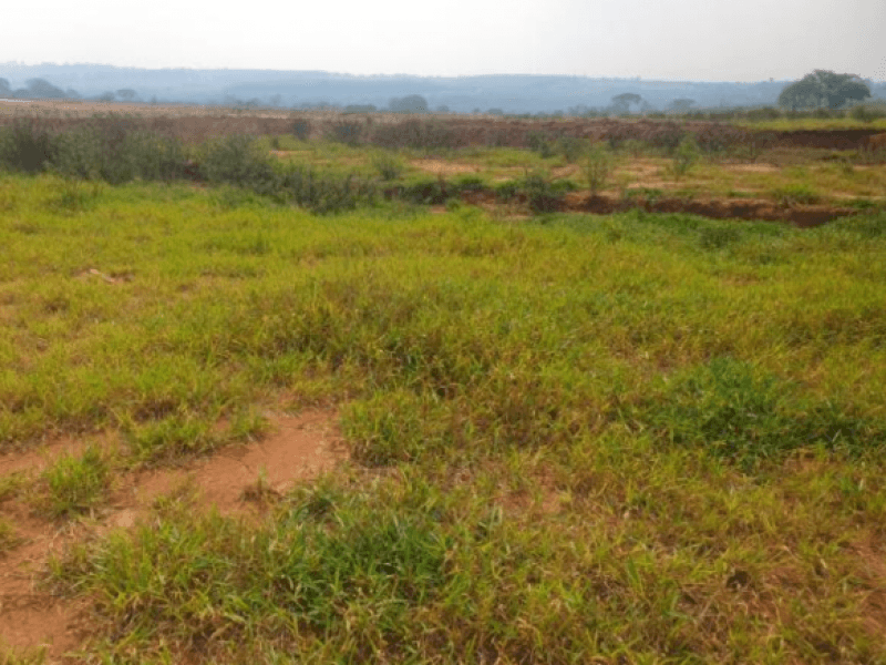 Foto 4 de 6: Terreno em leilão em Marília - SP, bairro Jardim Botânico I — Lote, Residencial, Jardim Botânico I